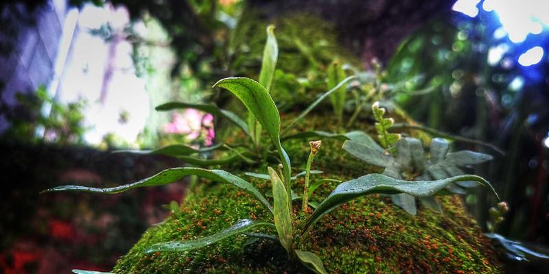 南京AI软件开发新范式：机器学习模型本地化部署的实战指南与解决方案