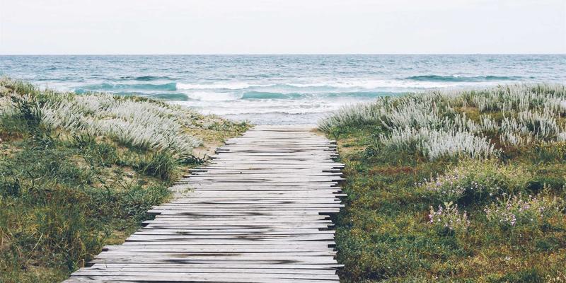 南京软件开发公司如何选择？深度解析专业团队与成功案例的关键作用