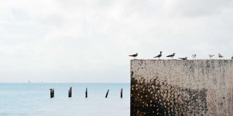 数据驱动，智赢未来：南京企业如何通过定制化CRM实现销售与营销自动化革命